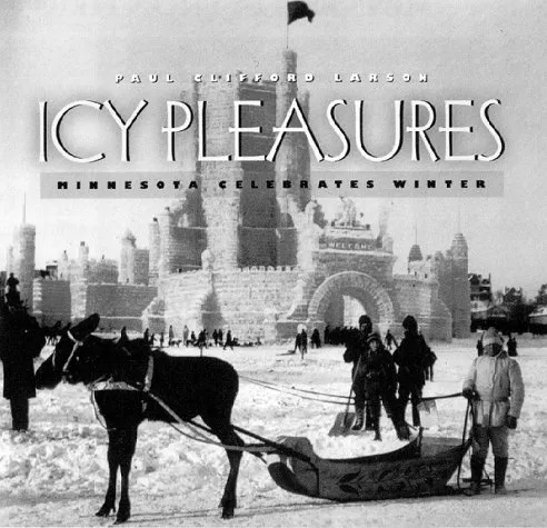 Icy Pleasures book cover