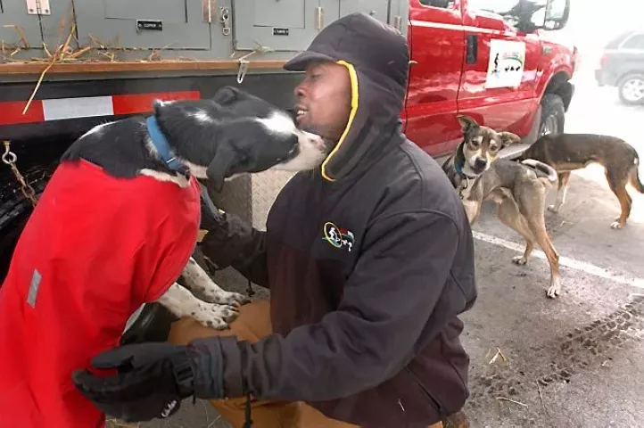 Devon Anderson, a member of the Jamaican dogsled team who will be competing in a race this weekend at the Winter Carnival, cared for the dogs he will be racing in the parking lot of the Embassy Suites parking lot on Friday, February 2, 2007. (It’s called “dropping the dogs.” It means letting the dogs jump out (drop) from the truck. They stretch, relieve themselves, get a little exercise. You drop the dogs about 3-4 times a day; about an hour after feeding them.) jmp sd2/2/07