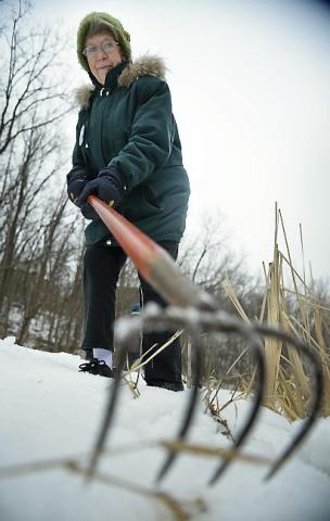 82-year-old Jay Kuehn of Oakdale searches for a Treasure Hunt medallion at Swede Hollow Park in St. Paul on Wednesday, January 21, 2015. Most of the friends she used to hunt with are “either on oxygen, using a walker or dead and buried,” she joked. In the background is her hunting partner Teri Erickson also of Oakdale. (Pioneer Press: Ben Garvin)