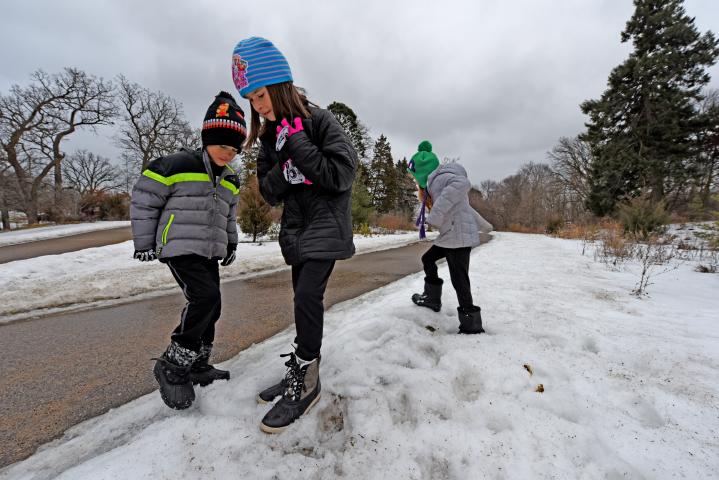 Judah, 8, and Bella Buck, 10, kick at a snowbank while sister Gwyn, also 8, stomps at one during the annual Pioneer Press Treasure Hunt in Como Park in St. Paul, Minn., Monday, Jan. 23, 2017. (Pioneer Press: Dave Orrick)