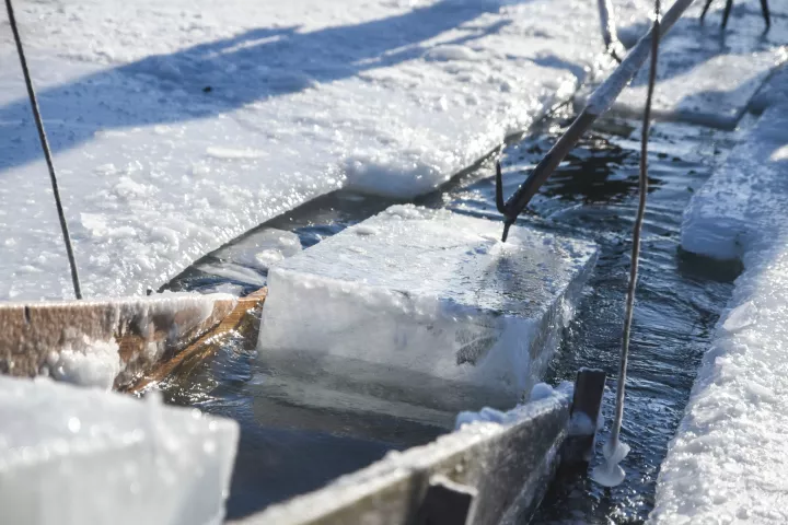 A recently cut block of ice harvested from Green Lake moves along an ice harvesting machine made in the early twenty-first century in Spicer Wednesday. (Erica Dischino / Forum News Service)