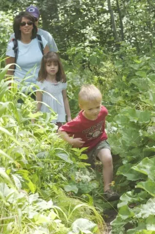 The Kniefel family of Rosemount, Mn. (front to back: Alex, 4, Danielle, 6, Denise and Mark) is active in letterboxing, a kind of family friendly treasure hunt, and they walked into a wooded area of Como Park to check on the letterbox they had previously hidden, photographed on July 3, 2008. (cq:Denise Kniefel 651-322-7157) . Pioneer Press: Scott Takushi.