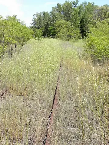 The existing railroad tracks through the future Trout Brook Nature Sanctuary west of Interstate 35E in St. Paul. (Courtesy of City of St. Paul)