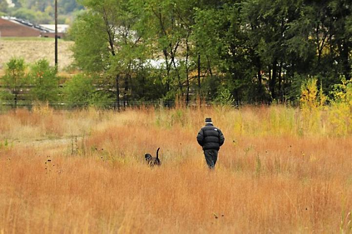 A man and his dog go for a walk in St. Paul's Bruce Vento Nature Sanctuary, just east of the downtown, on Wednesday, Oct. 16, 2013. (Pioneer Press: Scott Takushi)