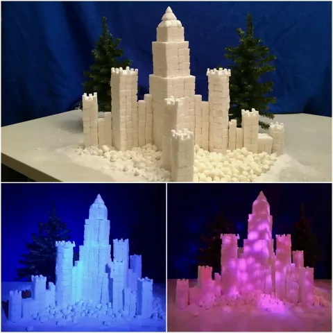 Writes Gina Santella of Maplewood: "The majestic replica of the 1992 St. Paul Winter Carnival Ice Palace was built using over 1,000 sugar cubes that were shaved, cut, shaped and molded into the stunning display seen here. The castle was completed in just over seven hours and surprisingly no sugar cubes were eaten in the making."