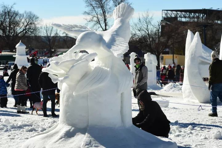 The team of David Prom, Kyle Slivnik and Josh McKinney created "The Hummingbird" which won third place at the Snow Park at the Minnesota State Fairgrounds in Falcon Heights, part of the 2017 St. Paul Winter Carnival's events, Sunday, January 29, 2017. (Pioneer Press: Scott Takushi)