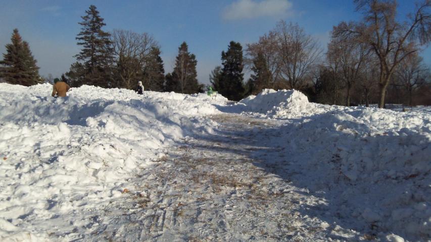Hunters for the St. Paul Pioneer Press Treasure Hunt medallion excavated a giant swath of snow in Como Park Sunday, Jan. 26, in their search for the $10,000 prize. (Pioneer Press:  John Brewer)
