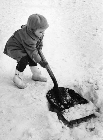 Sean McGowan, 2, of St. Paul pitches in during the 1971 medallion hunt. (Pioneer Press file photo)