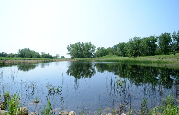 Trout Brook Nature Sanctuary