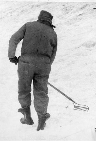 A rake is the implement of choice for this hunter in Keller Park during the 1976 hunt. (Pioneer Press file photo)