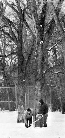 Donnie Kelly and Gary Kurth, both of St. Paul, use a metal detector to hunt for the medallion in Como Park during the 1986 hunt. (Pioneer Press file photo)