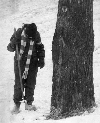 In 1976, the St. Paul Winter Carnival King Boreas Treasure Medallion, worth $2,500 at the time, was found in this area of Keller Park. The winners that year were Jack Londino, Mike Moncreif and Tom Wecker. (Pioneer Press file photo)