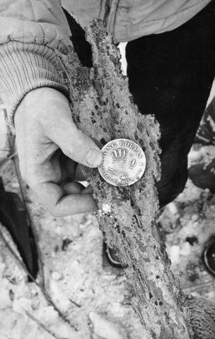 1979's medallion was found taped to a piece of bark and stuck near the base of a tree in Marthaler Park in West St. Paul. (Pioneer Press file photo)