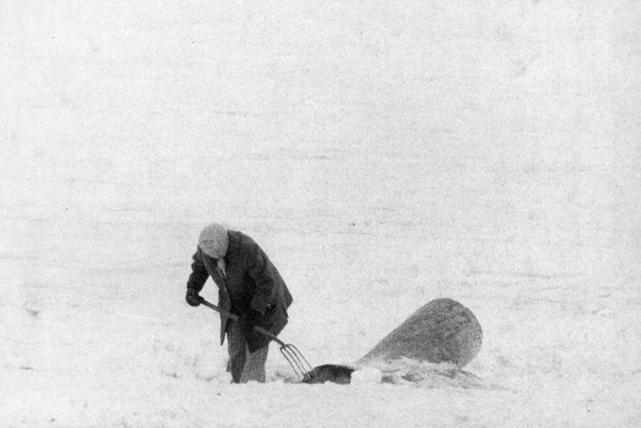 A lone hunter pokes at the snow with a pitchfork at Keller Park during the 1976 hunt. (Pioneer Press file photo)