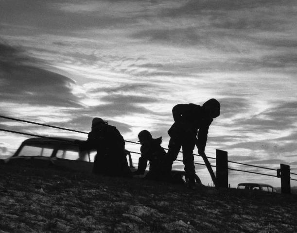During the 1959 Treasure Hunt, three kids are oblivious to traffic rushing by on Warner Road as they search for the medallion along a fence near the railroad tracks. (Pioneer Press file photo)