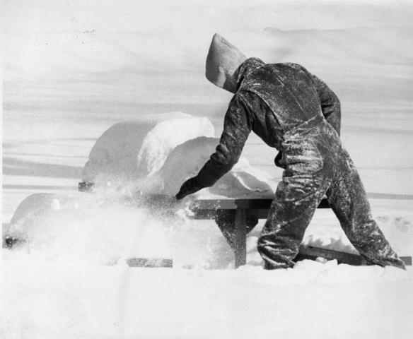 Al Johnson doesn't take his search lying down. The intrepid hunter resumes the hunt after falling off the Como Park picnic table. (Pioneer Press file photo)