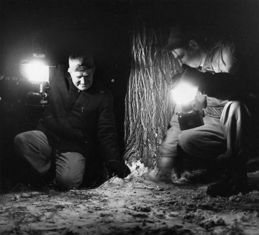 Not even darkness can deter Leonard DeBee and Blaine Funkhausen, both of Roseville, as they search in Mounds Park during the 1982 medallion hunt.