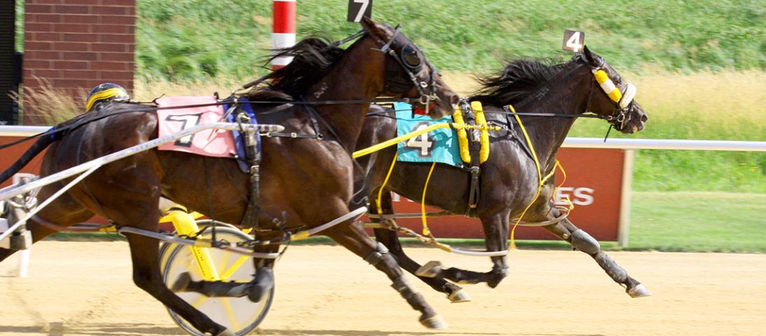 Live Racing