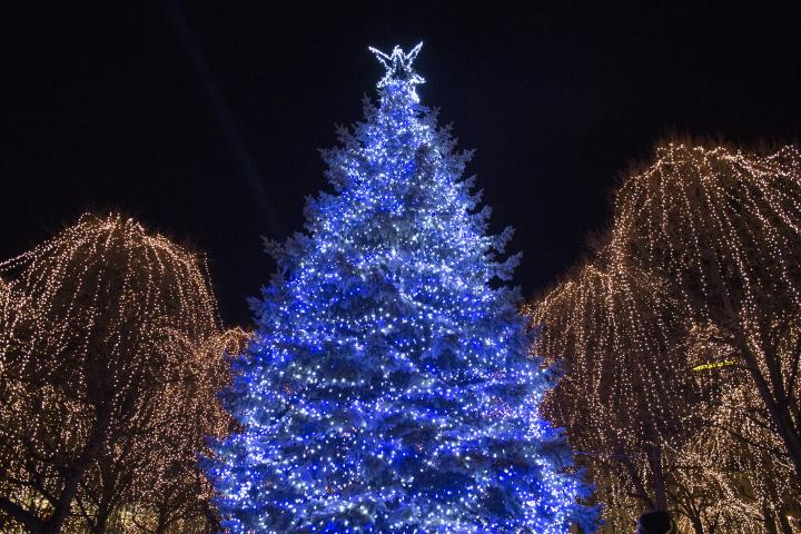 The city of St. Paul kicked off the winter and holiday season with a tree lighting ceremony and fireworks show in Rice Park in downtown on Saturday, Nov. 19, 2016. (Pioneer Press: Liam James Doyle)