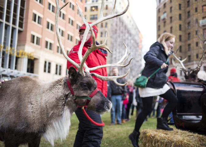 Attendees had the opportunity to take a holiday photo in a sleigh alongside live reindeer in Landmark Plaza in downtown St. Paul during the city's winter and holiday kick off festivities on Saturday, Nov. 19, 2016. (Pioneer Press: Liam James Doyle)