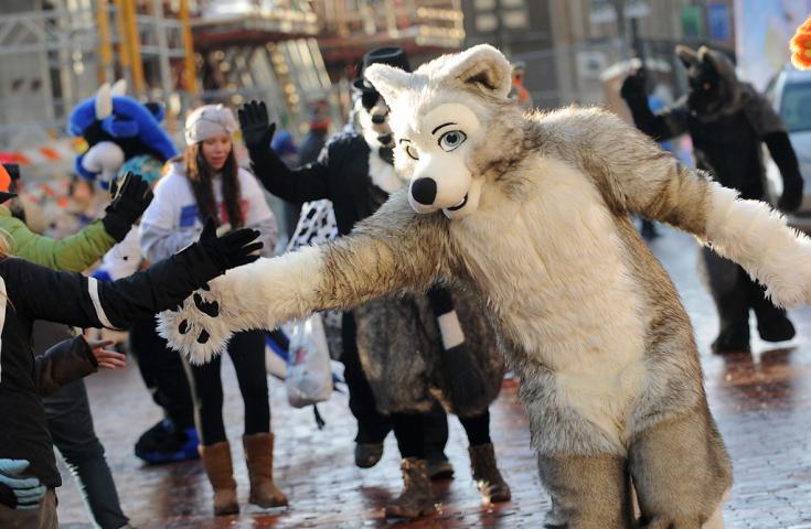 A wolf from Minnesota Fur greets parade-goers on Fifth Street at the Winter Carnival Grande Day Parade in St. Paul, Saturday January 25, 2014. (Pioneer Press: Jean Pieri)