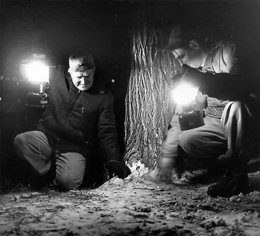 Nighttime didn't deter these Winter Carnival Treasure Hunt medallion searchers. (Pioneer Press File)