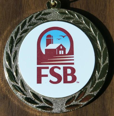 2017 Trimont Fun Fest MEdallion