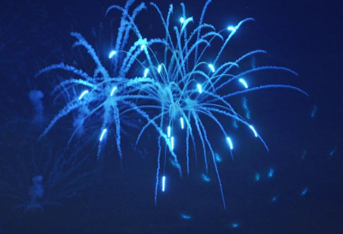 Fireworks light up the sky over Lake Ripley on Friday night.