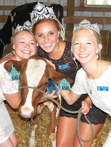 Watercade royalty cozy up to a cow at the Meeker County Fair in July.