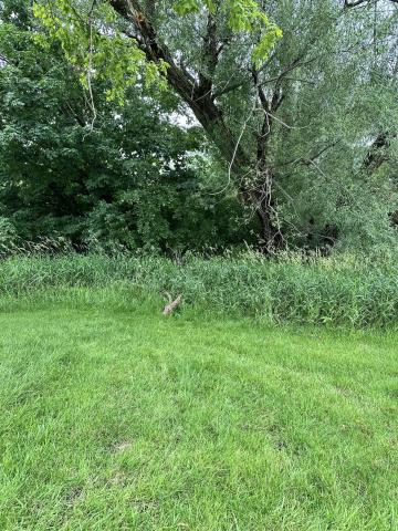2024 Farmington Spot
