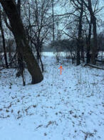 2025 Coon Rapids Finder