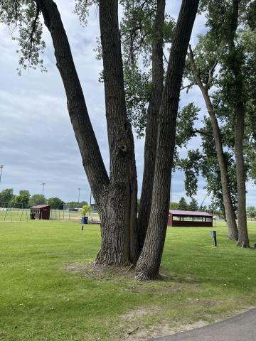 2025 Benson Kid Day Location