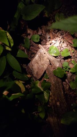 2025 Mendota Location