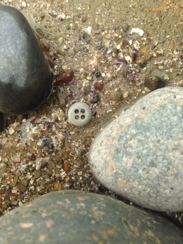 Tide Pool