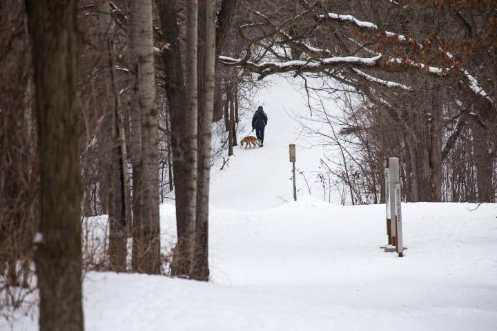 A person walking a dog at Battle Creek Regional Park in Maplewood is seen here Jan. 21, 2016. The park has some of the most popular trails in Ramsey County. (Pioneer Press: Andy Rathbun)