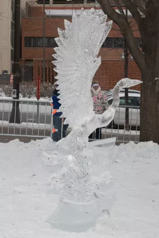 Heading South: Trevor Pearson of Shakopee won the $600 first prize in the individual professional competition. (Courtesy of the St. Paul Winter Carnival)