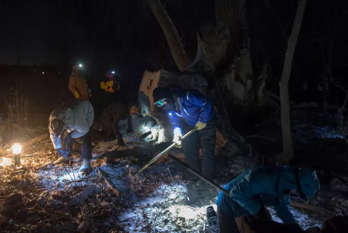 Treasure hunters work late into the night in temps -22 Fahrenheit and scour the park in search of the medallion Wednesday January 30, 2019. (Special to the Pioneer Press: Craig Lassig)
