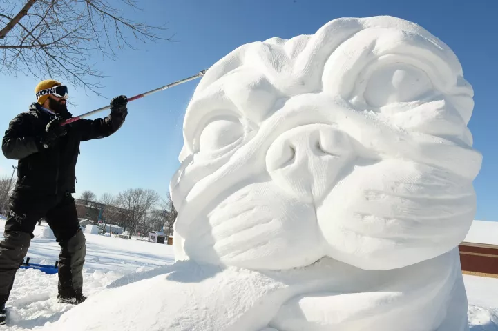 Jason Arney-O'Neil of St. Paul carves "Mug of a Pug" out of snow at the Minnesota State Fairgrounds in Falcon Heights, Sunday, Jan. 24, 2021. This year's St. Paul Winter Carnival event is not a competition as in other years, due to it being a paid drive-through event open to paying vehicles only, each day from January 28th February 7th. (Scott Takushi / Pioneer Press)