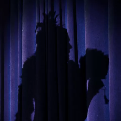 The shadow of Tammy McCanna, from St. Louis Park, is cast upon the stage curtains as she performs in the third round of the 2022 Klondike Kate competition at the DoubleTree by Hilton in St. Paul on Wednesday, Jan. 12, 2022. (John Autey / Pioneer Press)