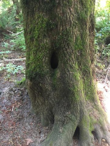 2022 Jacens Stash Location