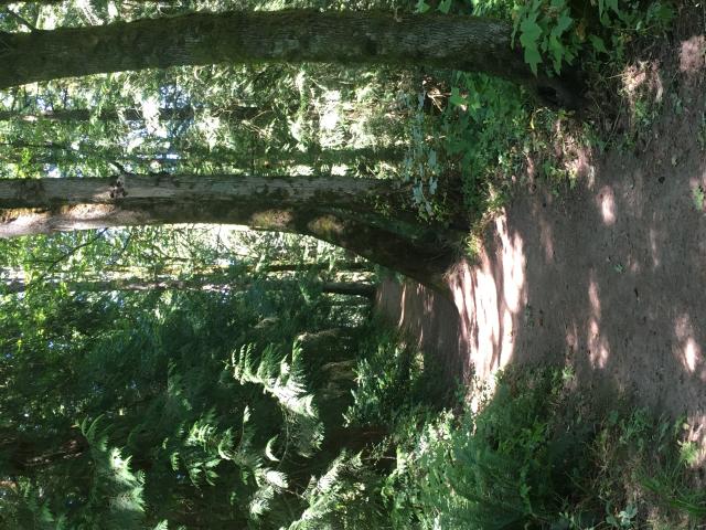 2022 Jacens Stash Location