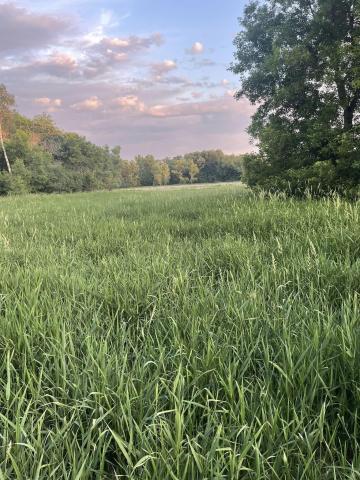 2023 Farmington Location