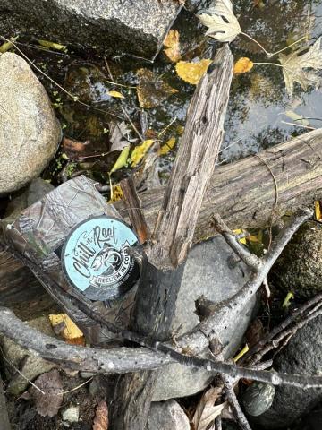 2023 Fish Frenzy Medallion